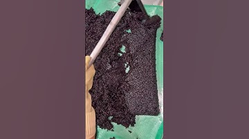 NẾP CẨM  #ruoungon #ruounepcam #ruouviet #ruoubieutang #ocop