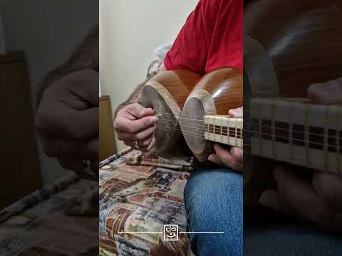 آموزش تار نوازی هادی فدایی موسیقی