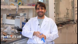A Closer Look: Nanomaterials for Clean Energy