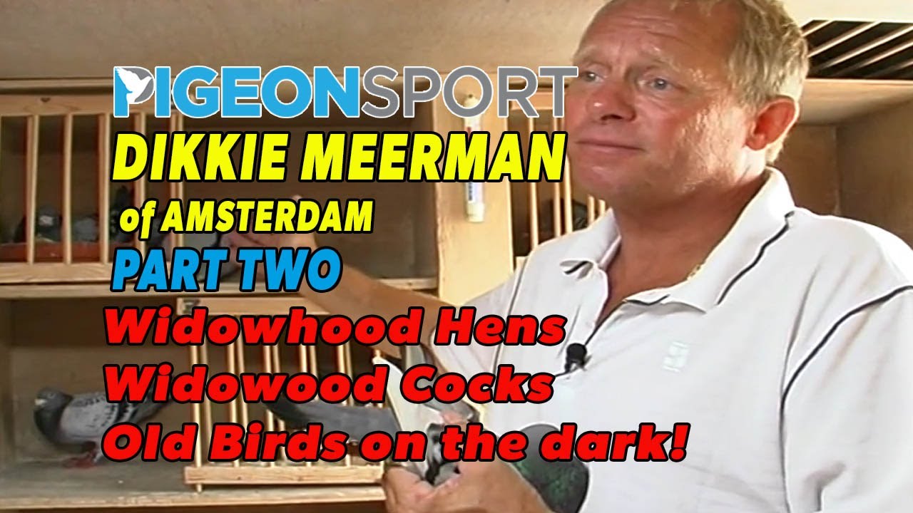 Дикки Мирман, часть вторая