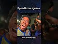 ishowspeed kome iguana #ishowspeed #ishowspeedclips #clips #humor #comedia #amigos #clips #kick #fun