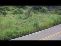 Car Loses Control on Sharp Turn and Crashes Off Mountain Road