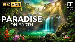 8K HDR Nature – Paradise on Earth 🌿 Relaxing Music and Scenic Views