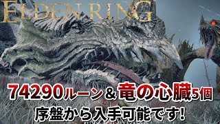 【エルデンリング】簡単撃破！巨大竜から大量のルーンと竜の心臓5個を入手する方法をご紹介【ELDEN RING】