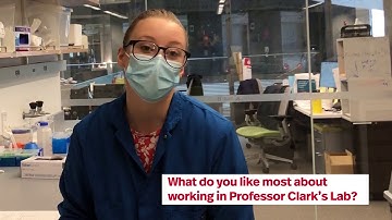 Look Into the Lab Series - Heather Clark Lab Part 3