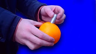 Blowing up vegetables with firecrackers.