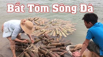Cách Bắt Tôm - Bắt Tép Độc Đáo Của Người Dân Ven Sông Đà | Núi Rừng Tây Bắc