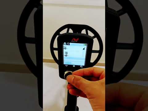 ارقام الذهب على جهاز كشف المعادن ماينلاب مونتيكور