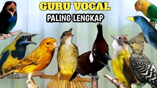 Download Lagu 100% NYAUT MASTERAN KOMBINASI PALING MEWAH UNTUK BURUNG PRESTASI MP3
