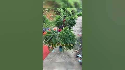 Gian nan đường đến trường của học sinh vùng cao 💕