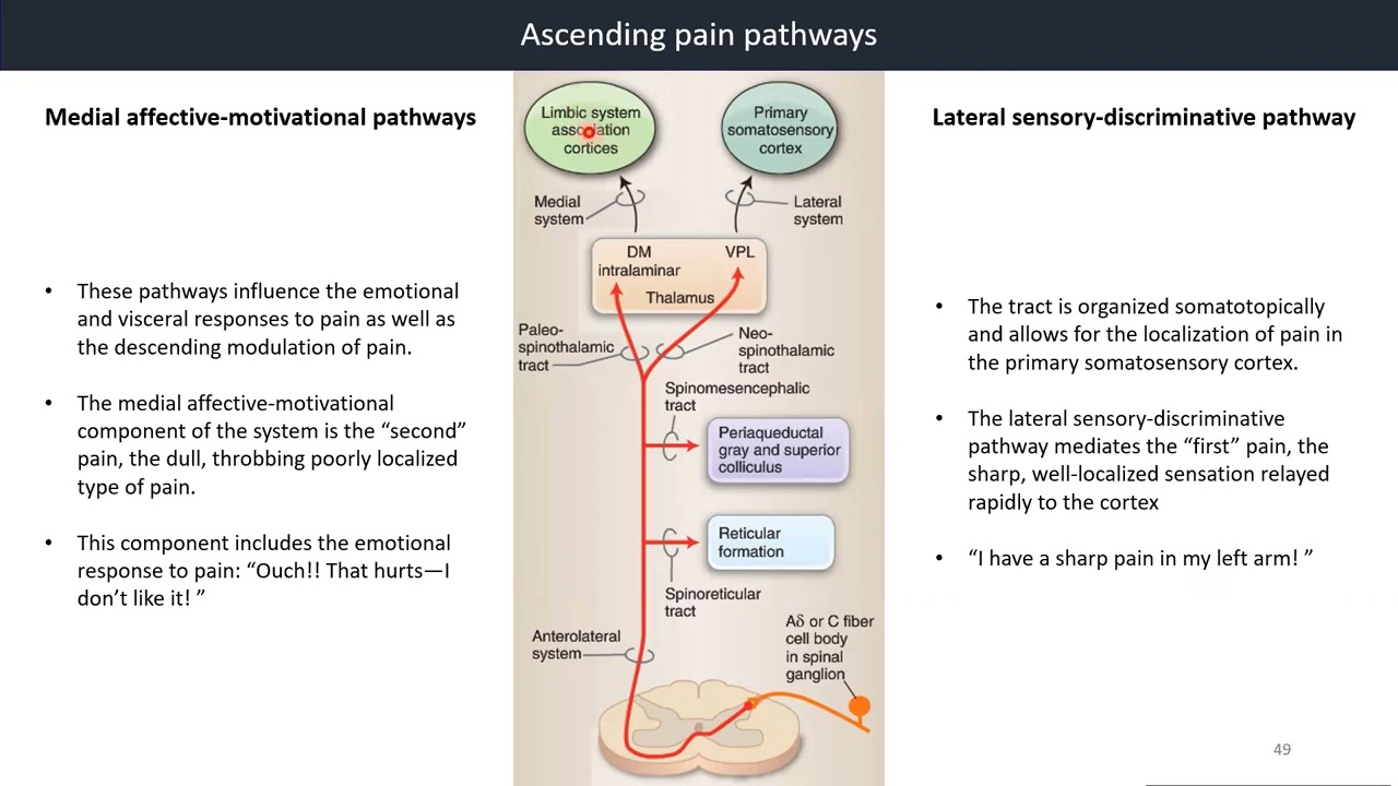 youtube-video-thumbnail