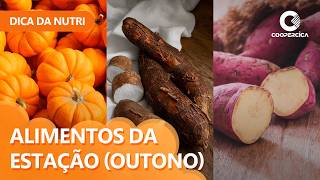 Imagem Alimentos da estação (outono) são mais nutritivos e baratos?
