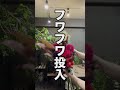 【推しカラー】ロックでシックなイケてる花束作ります![Recommended color] Make a chic bouquet with rock!