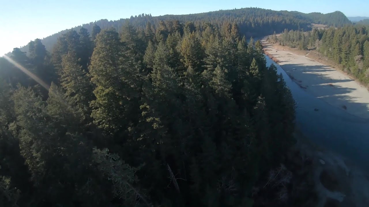 Redwoods and River