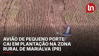 Avião de pequeno porte cai em plantação na zona rural de Marialva (PR)
