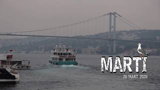 Martı - Seagull - 2019 - Official Trailer Yulia Alizade Luartfilm