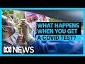 What happens when you get a COVID test? | ABC News