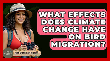 What Effects Does Climate Change Have On Bird Migration? - Bird Watching Diaries