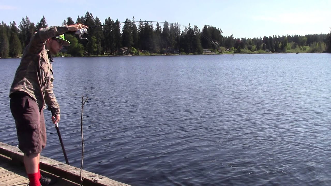 More Rainbow Trout Cottage Lake Wa Youtube