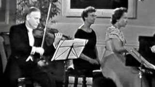 (1/2) Schubert - Piano Trio No.1 - I. Allegro moderato
