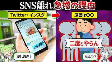 なぜSNSを辞める人が急増してるのか？【ずんだもん＆ゆっくり解説】
