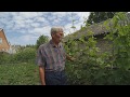 Обзор виноградника Точилина Вадима в июне
