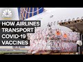 How U.S. Airlines Transport Covid-19 Vaccines