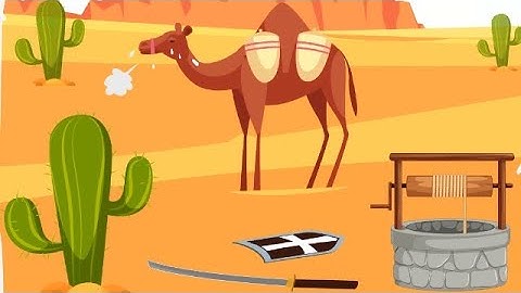 Braindom Level 276 Help the camel! Walkthrough