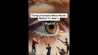 Things Humans Were Never Meant To See😳