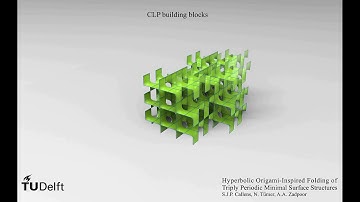 The building blocks of a CLP folded minimal surface, TU Delft, Prof. Amir A. Zadpoor