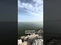 يامن سقاني لذيذ الحب من يده ابن الحضاري اكسبلور 
