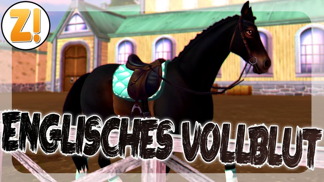 Grosses Englisches Vollblut Leveln Server 12 Star Stable Sso Youtube
