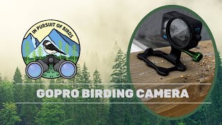 How to use GoProLabs to Make a Motion Activated Bird Feeder Camera