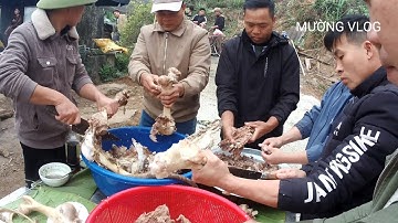 CỖ CƯỚI VÙNG CAO DÂN TỘC MƯỜNG HÒA BÌNH