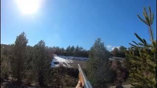 AZILI DOMUZ AVI [WİLD  BOA R  HUNTİNG ]