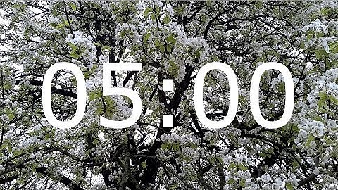 5 Minute Spring Timer with Relaxing Music, Blossom and Alarm