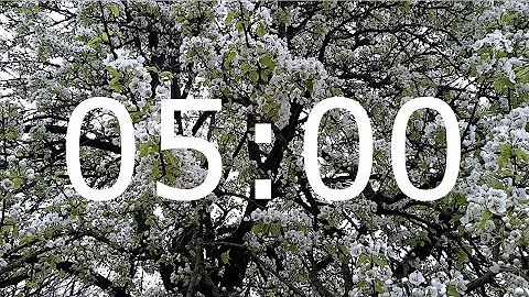 5 Minute Spring Timer with Relaxing Music, Blossom and Alarm