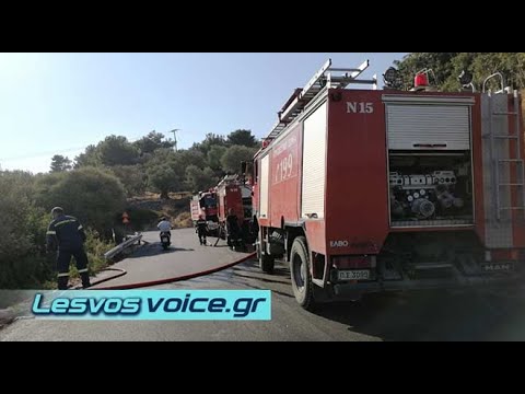 ΑΜΕΣΗ ΚΑΤΑΣΒΕΣΗ ΠΥΡΚΑΓΙΑΣ