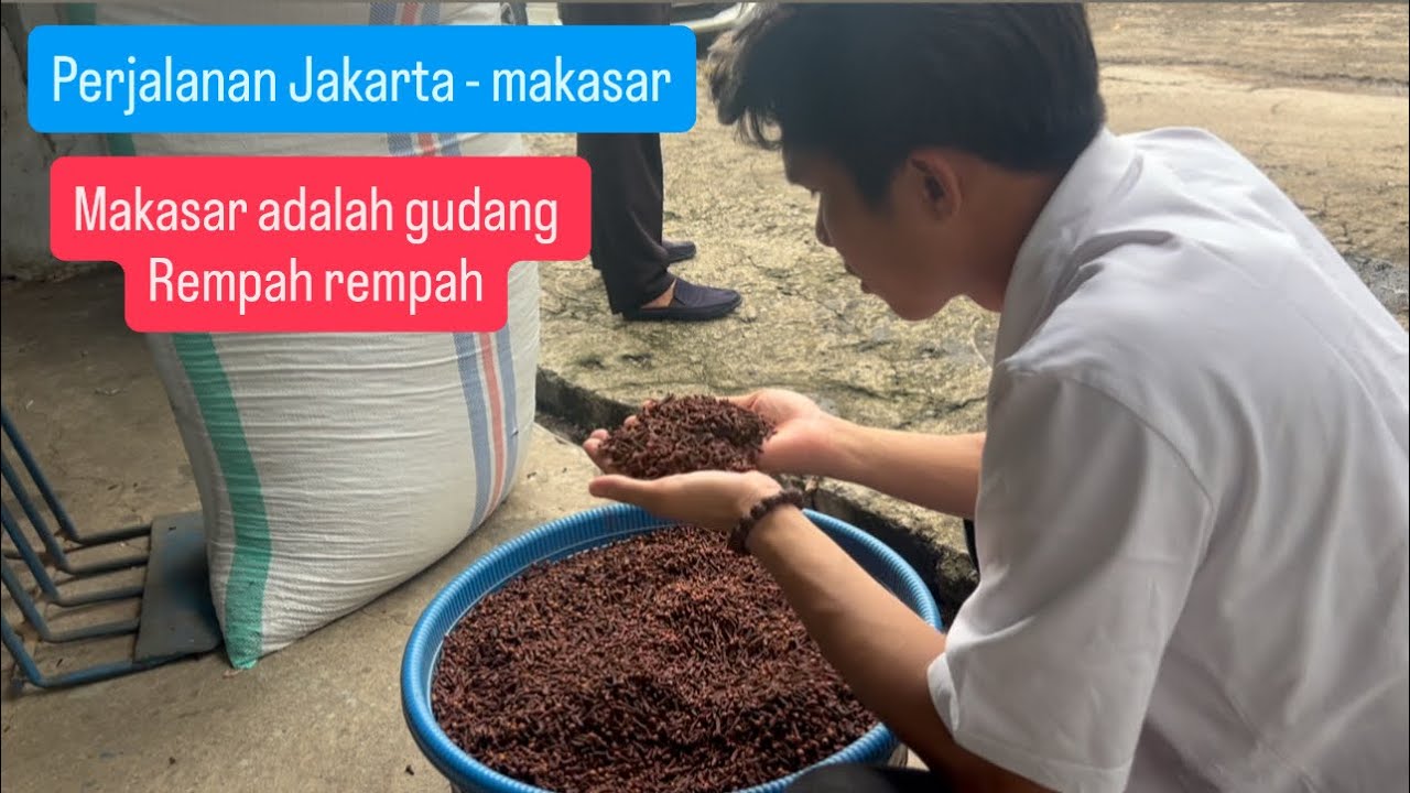 Membeli cengkeh dan merica  rempah rempah makasar