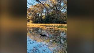 Bandera City Park, Bandera Texas United States