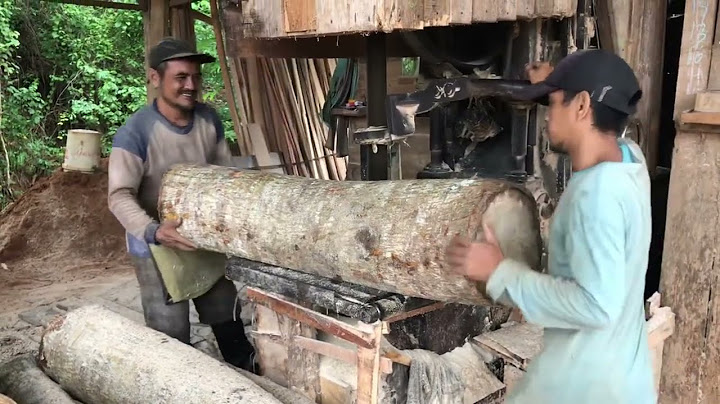 Penggergajian kayu waru