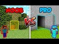 Minecraft NOOB vs. PRO: SECRET DOOR in Minecraft!