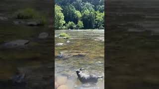 Video of Nolichucky Gorge Campground, TN from Shelly S.