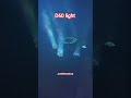 d60 light #d60 #speaker