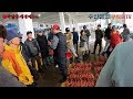 울진 후포리  수산물을 부탁해  대진호 선주의 홍게 경매 현장~!!