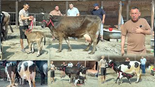 ALISHER😱AKA‼️F🏃SIZ KUTGAN ONA BOLA SGIRLAR K🤝ANCHA ARZON💥KOʻRING MANA🥛🌨️