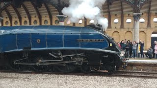 60007 Sir Nigel Gresley whistles and slips out of York | 02/03/2024