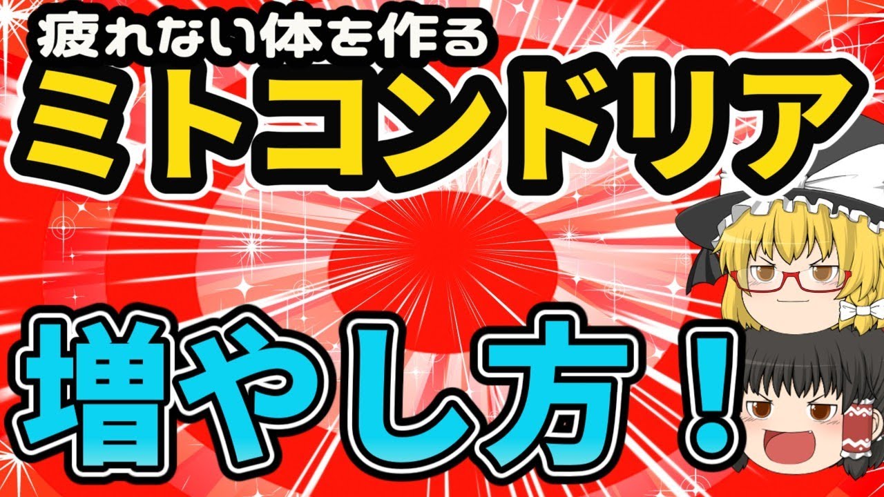 【40代50代】１日中元気！疲れないカラダになる栄養×運動【ミトコンドリア】