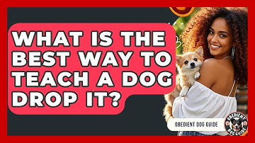 What Is The Best Way To Teach A Dog Drop It? - Obedient Dog Guide
