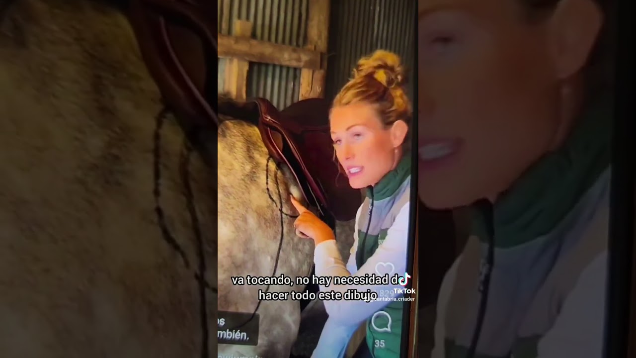 10 Pasos para Colocar la Montura Correctamente y Evitar Lesiones en tu Caballo